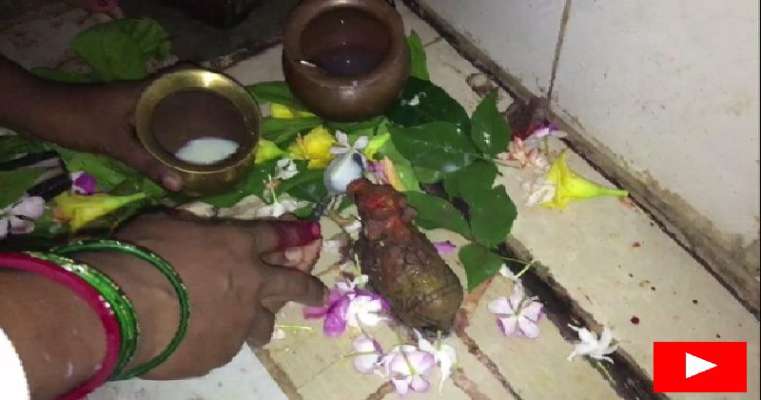 Image result for Locals claimed Nandi drinks Milk offered by Devotees in Bihar