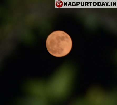Sharad Poornima Folks In Nagpur Celebrate Moon S Charm With Kojagiri Nagpur Today English Dailyhunt